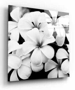 Witte Bloemen Glasschilderij