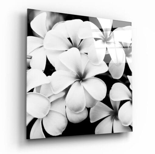 Witte Bloemen Glasschilderij