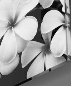 Alternative view of Witte Bloemen Glasschilderij