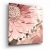 Roze Bloem Glasschilderij