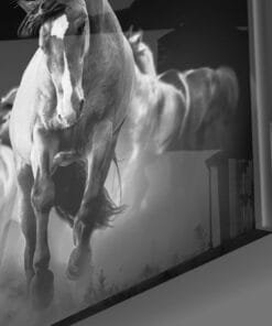 Alternative view of Rennende Paarden Glasschilderij