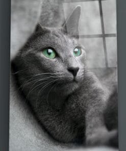 Kat Glasschilderij - Afbeelding 3