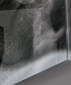 Alternative view of Kat Glasschilderij