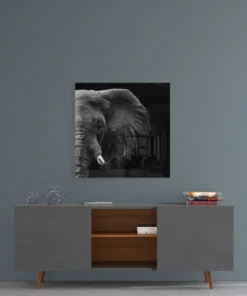Olifant Glasschilderij Dieren