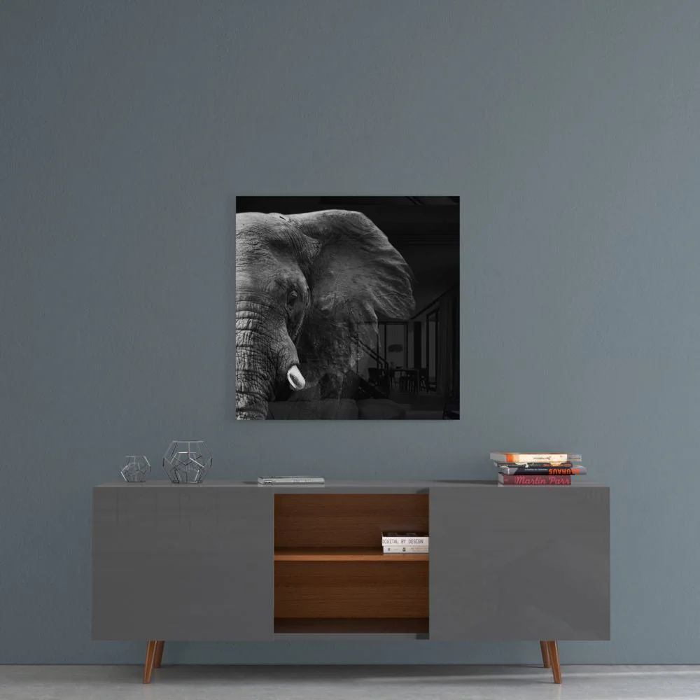 Olifant Glasschilderij