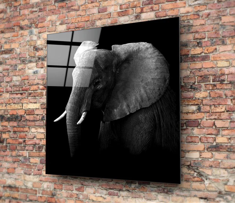 Glasschilderij Dieren Olifant (80x80 cm) - Afbeelding 3