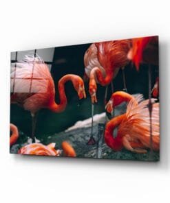 Flamingo's | Glasschilderij