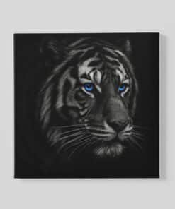 Tijger met blauwe Ogen Vierkant Schilderij