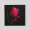OEFE 1349 roze tulp vierkant schilderij