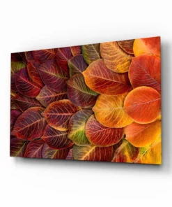 Herfstbladeren Glasschilderij