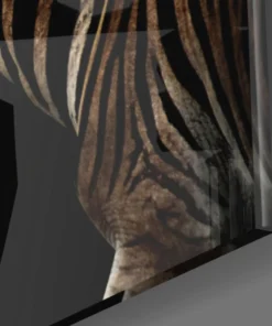 Alternative view of Zebra's Glasschilderij