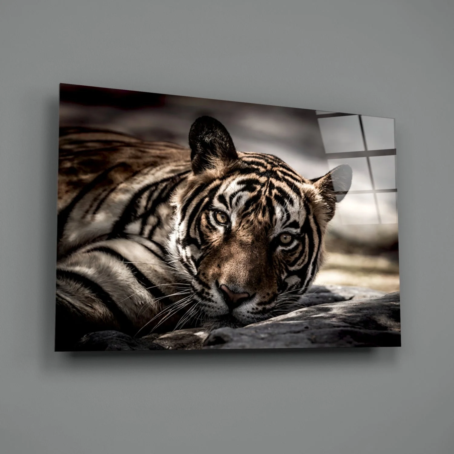 Tijger Glasschilderij - Afbeelding 3
