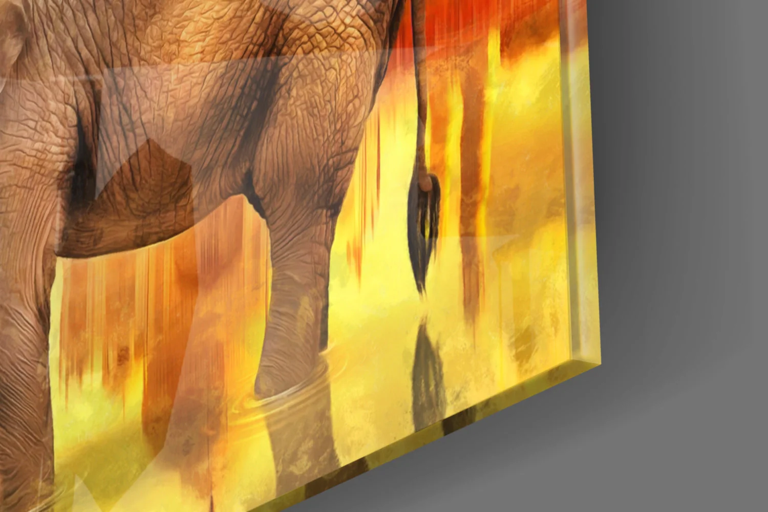Olifant Glasschilderij - Afbeelding 2
