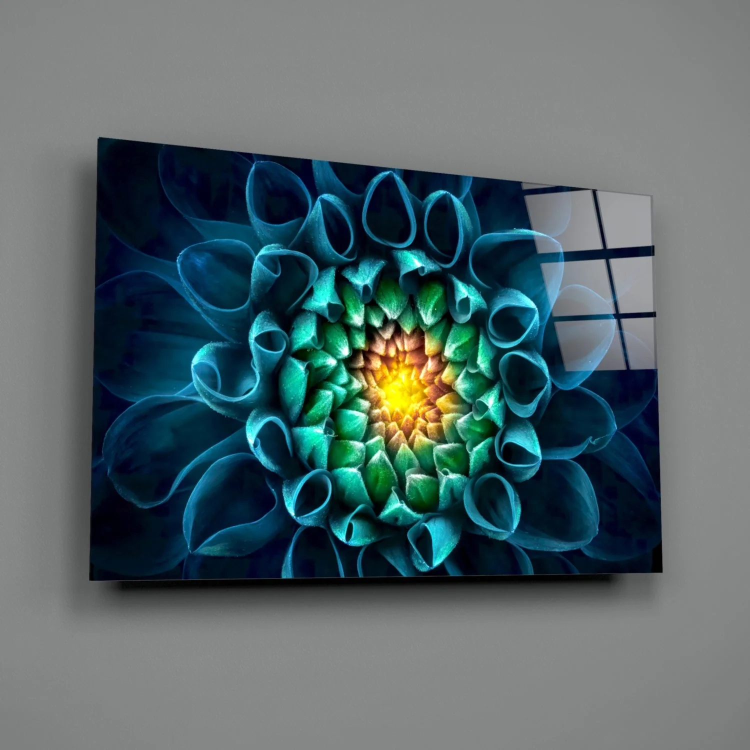Glasschilderij Bloemen Chrysant - Afbeelding 3