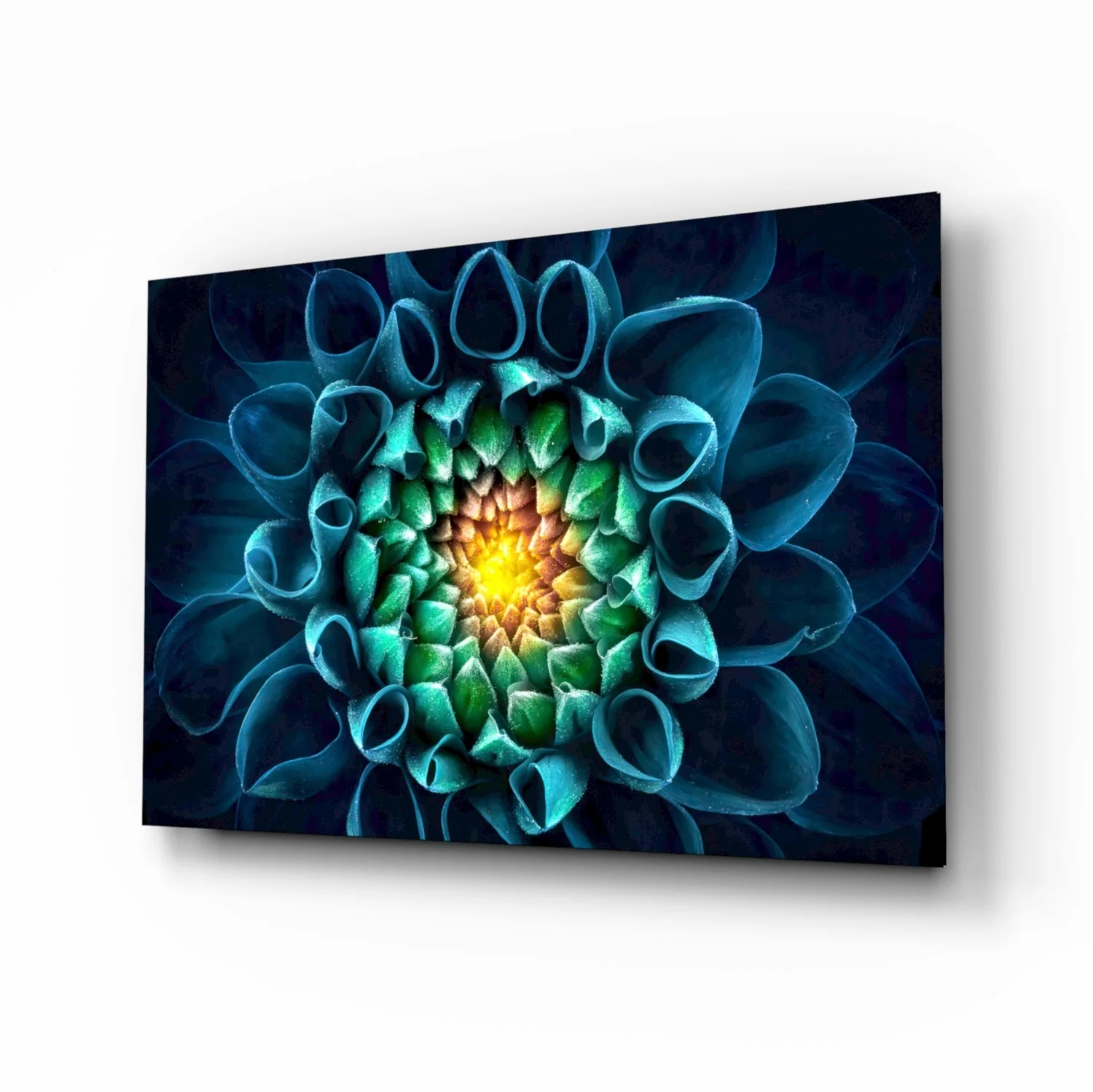 Glasschilderij Bloemen Chrysant
