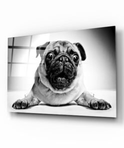 Hond Glasschilderij