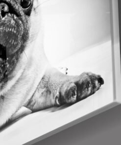 Alternative view of Hond Glasschilderij