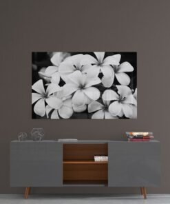 Witte Bloemen Glasschilderij