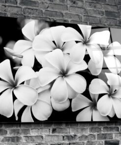 Witte Bloemen Glasschilderij - Afbeelding 3
