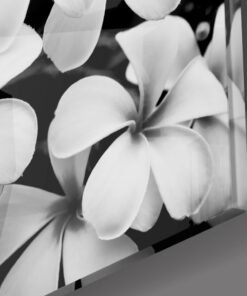 Alternative view of Witte Bloemen Glasschilderij