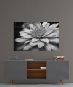 Witte Bloem Glasschilderij