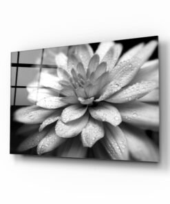 Witte Bloem Glasschilderij