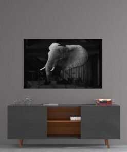 Olifant Glasschilderij