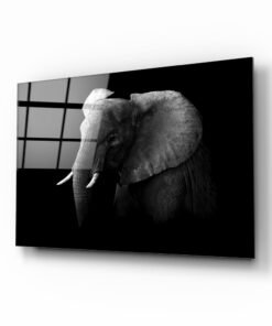 Olifant Glasschilderij