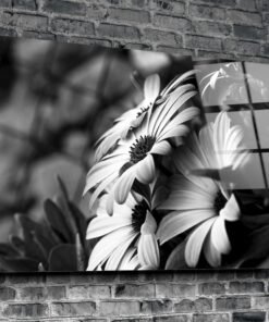 Glasschilderij Bloemen Madeliefje - Afbeelding 3