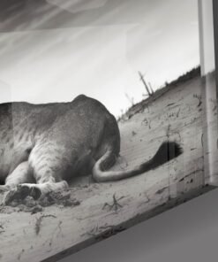 Alternative view of Dieren Glasschilderij Leeuwin