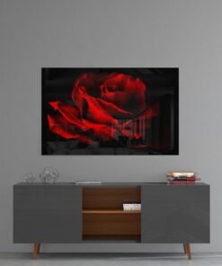 Bloemen Glasschilderij Rode Roos
