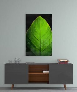 Glasschilderij Blad Groen