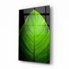 Glasschilderij Blad Groen