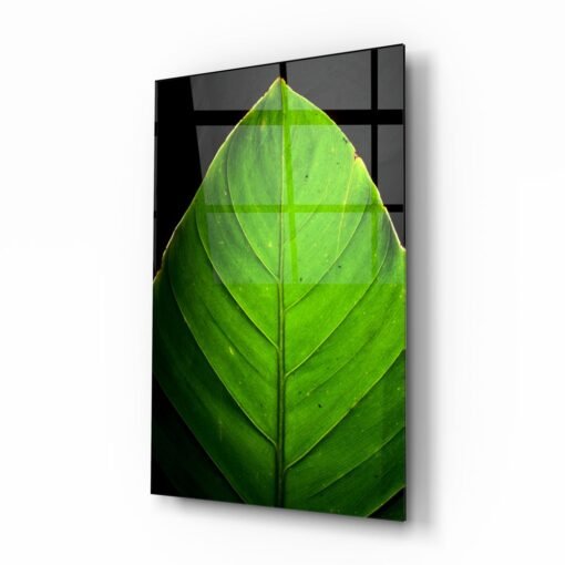 Glasschilderij Blad Groen