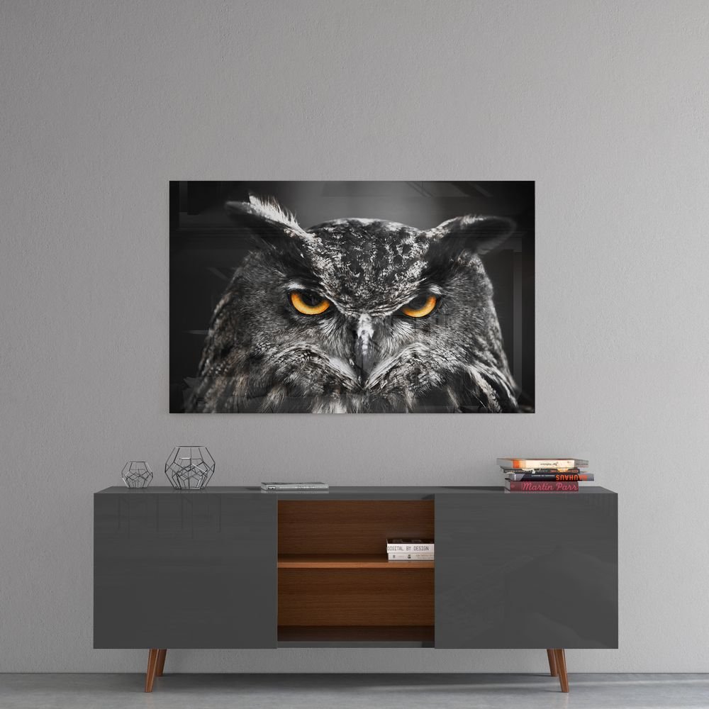 Vogel Uil Dieren Glasschilderij