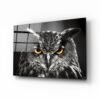 Vogel Uil Dieren Glasschilderij