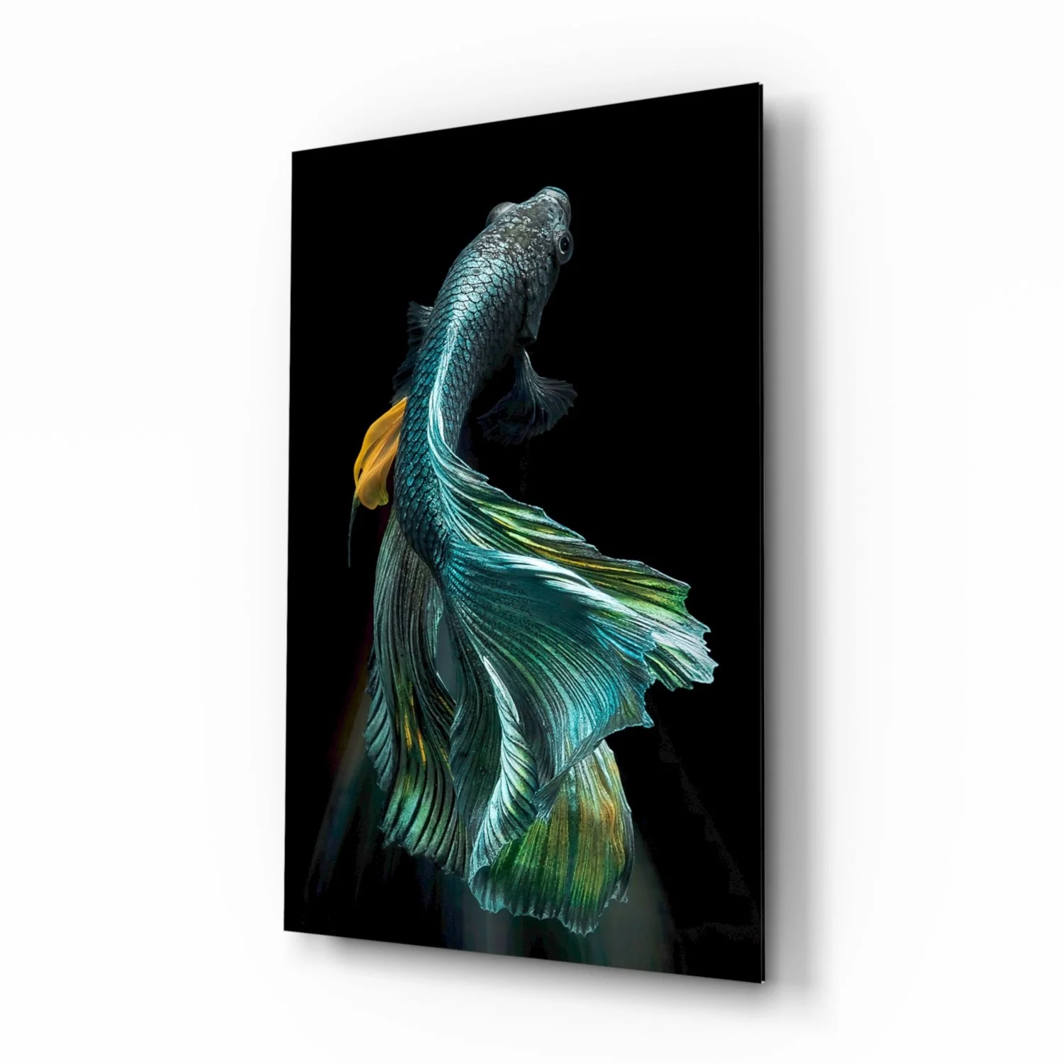 Betta Vis Glasschilderij