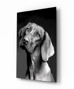 Hond Portret Glasschilderij