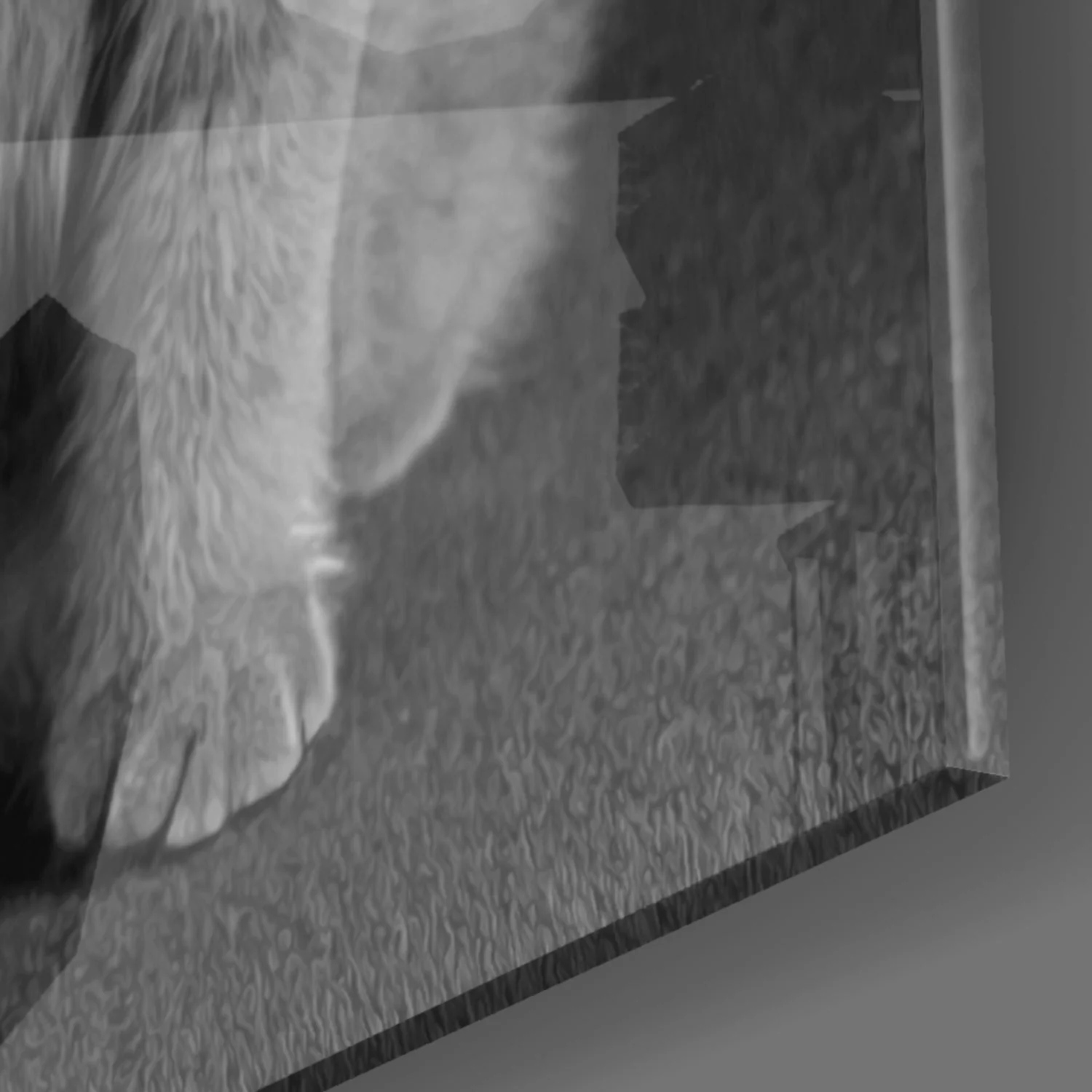 Kat Dieren Glasschilderij - Afbeelding 2