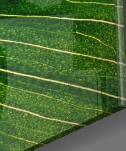 Alternative view of Groene Blad Glasschilderij