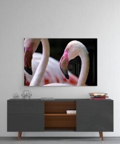 Flamingo Glasschilderij