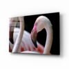 Flamingo Glasschilderij