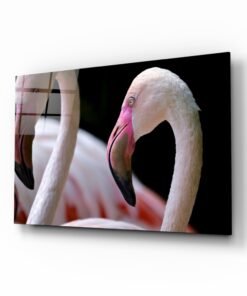 Flamingo Glasschilderij