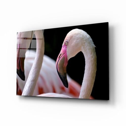 Flamingo Glasschilderij