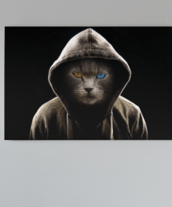 Canvas Schilderij Coole kat