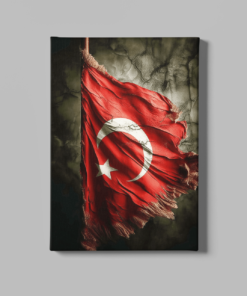 Vlag Turkije Canvas Schilderij