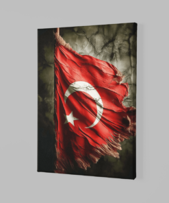 Alternative view of Vlag Turkije Canvas Schilderij
