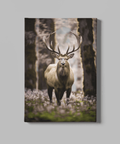 Canvas Schilderij Hert in het bos