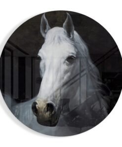 Paard Portret Glasschilderij