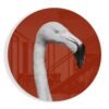 Flamingo Glasschilderij